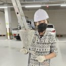 도그비잉펫케어 이미지