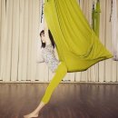 라인홀릭플라잉요가