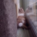 구석탱이 이미지