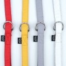 멋내는 강아지 이미지