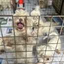 테크노연합 동물병원 이미지