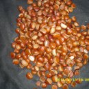 삼수농장 이미지