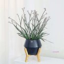 도기냐미 이미지