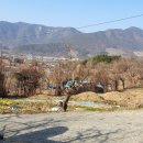 대촌새마을회관 이미지