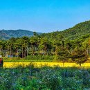 백제가요정읍사오솔길(2코스 내장호 수변데크) 이미지