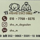 샤멍샤멍 이미지