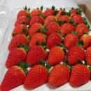 달을보는농부 이미지