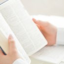 도농초등학교 이미지