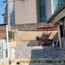 백구정민박 이미지