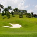 아도니스 이미지