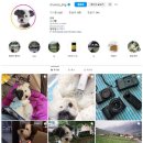 영이언니네 이미지