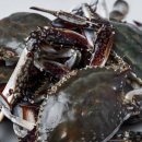 굿모닝보청기부천남부센터 이미지