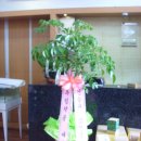 우림약품 이미지