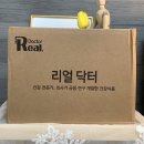 스타스킨