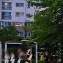 금호태권도장 이미지