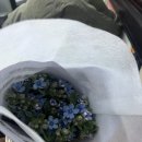 사평대로55길 97-5 이미지