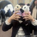 판다 | 에버랜드 판다월드 방문 후기 🐼💕