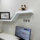 리브동물의료센터 이미지