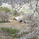 합천노인전문요양원 | 밀양요양원 밀양의 명품 요양시설, 덕인노인전문요양원 방문 후기