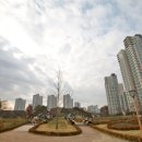 연기면_세종보 입구 이미지