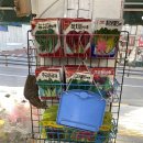화비꽃방 | [내돈내산] 월계 광운대 꽃집 추천 “화비꽃방“ :D