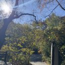 포구나무집 | 김해 맛집 진례 닭 오리백숙 포구나무집 애견동반 후기