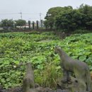 공동정호 이미지