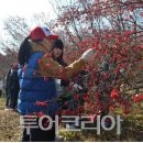 산수유 둘레길 이미지