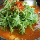 안면도회센타 이미지