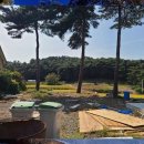 무창포공인중개사사무소 이미지