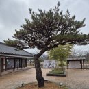 천상현 셰프의 멋집 '천상' 이미지