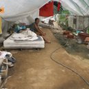 신흥비닐 이미지