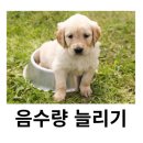 시니어동물병원 네이버블로그