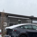 학하동로 | 대전 세종 테슬라 PPF 아직도 안하셨다면 서두르세요(feat. 주니퍼 PPF + 열차단 필름 시공후기)