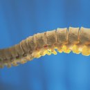 을지로신경외과의원 이미지