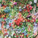 더프리티영의원 이미지