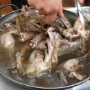 천둥옻오리 이미지