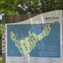 다대진 동헌 | 구름에 잠기는 몰운대沒雲臺 다대진 동헌多大鎭東軒과 정운공순의비鄭運公殉義碑