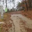 (주)하이런드리 이미지