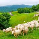 초원약수터 이미지