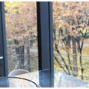 전지적 돼지시점 이미지