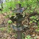 귀성약수터 이미지