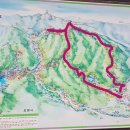 대송면 운제산등산로 이미지