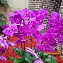 판교일등공인중개사사무소 이미지