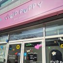 위드퍼피 애견미용실 | 반려견 힐링 공간, 비비드퍼피에서 받은 감동! 송천동애견미용실 후기