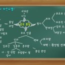 한국사 마인드맵 이미지