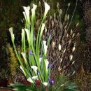 성전2호 이미지