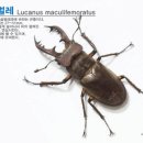 양평쉬자파크 미디어이슈