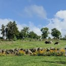 오성목장 이미지