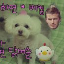 미용사 이미지
